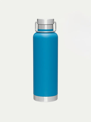 Insulated Stainless Steel Bottle w/ Handle