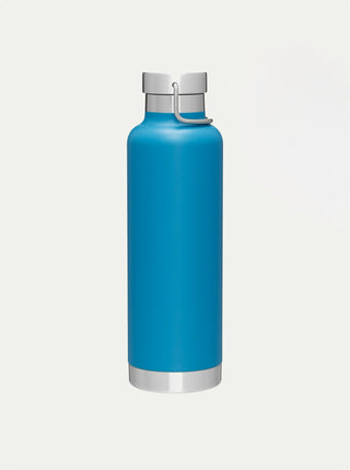 Insulated Stainless Steel Bottle w/ Handle