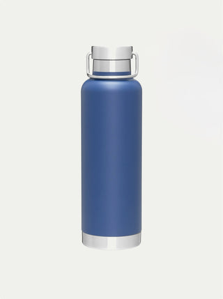 Insulated Stainless Steel Bottle w/ Handle