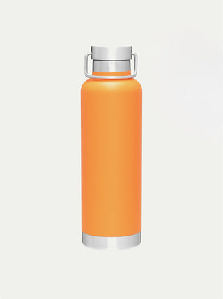 Insulated Stainless Steel Bottle w/ Handle