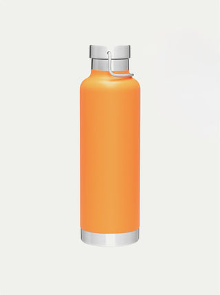 Insulated Stainless Steel Bottle w/ Handle