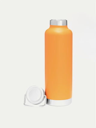 Insulated Stainless Steel Bottle w/ Handle
