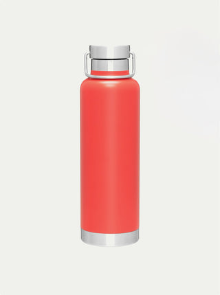 Insulated Stainless Steel Bottle w/ Handle