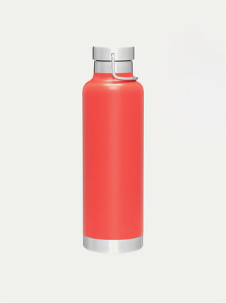 Insulated Stainless Steel Bottle w/ Handle