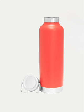 Insulated Stainless Steel Bottle w/ Handle