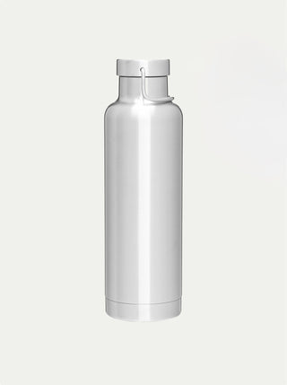 Insulated Stainless Steel Bottle w/ Handle